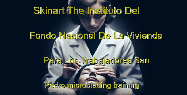 Skinart The Instituto Del Fondo Nacional De La Vivienda Para Los Trabajadores San Pedro microblading training school | MicrobladingTraining | MicrobladingClasses | SkinartTraining-Mexico